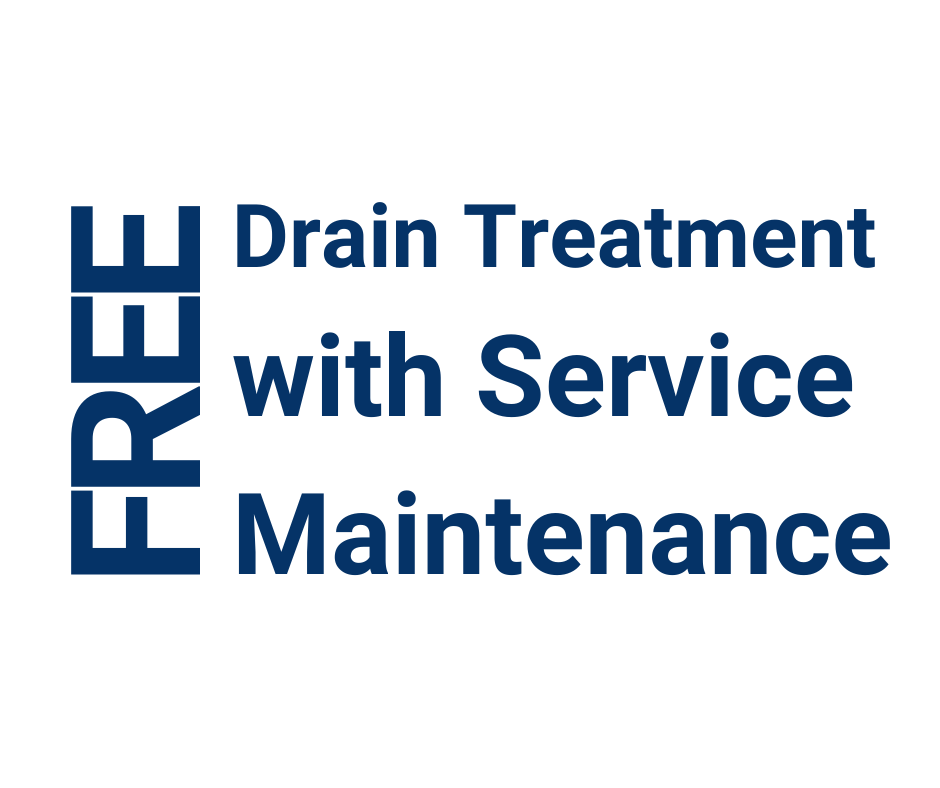 free drain treatment